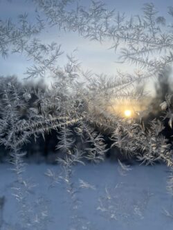 Yhteystiedot Svg+xml,%3Csvg%20xmlns%3D%22http%3A%2F%2Fwww.w3